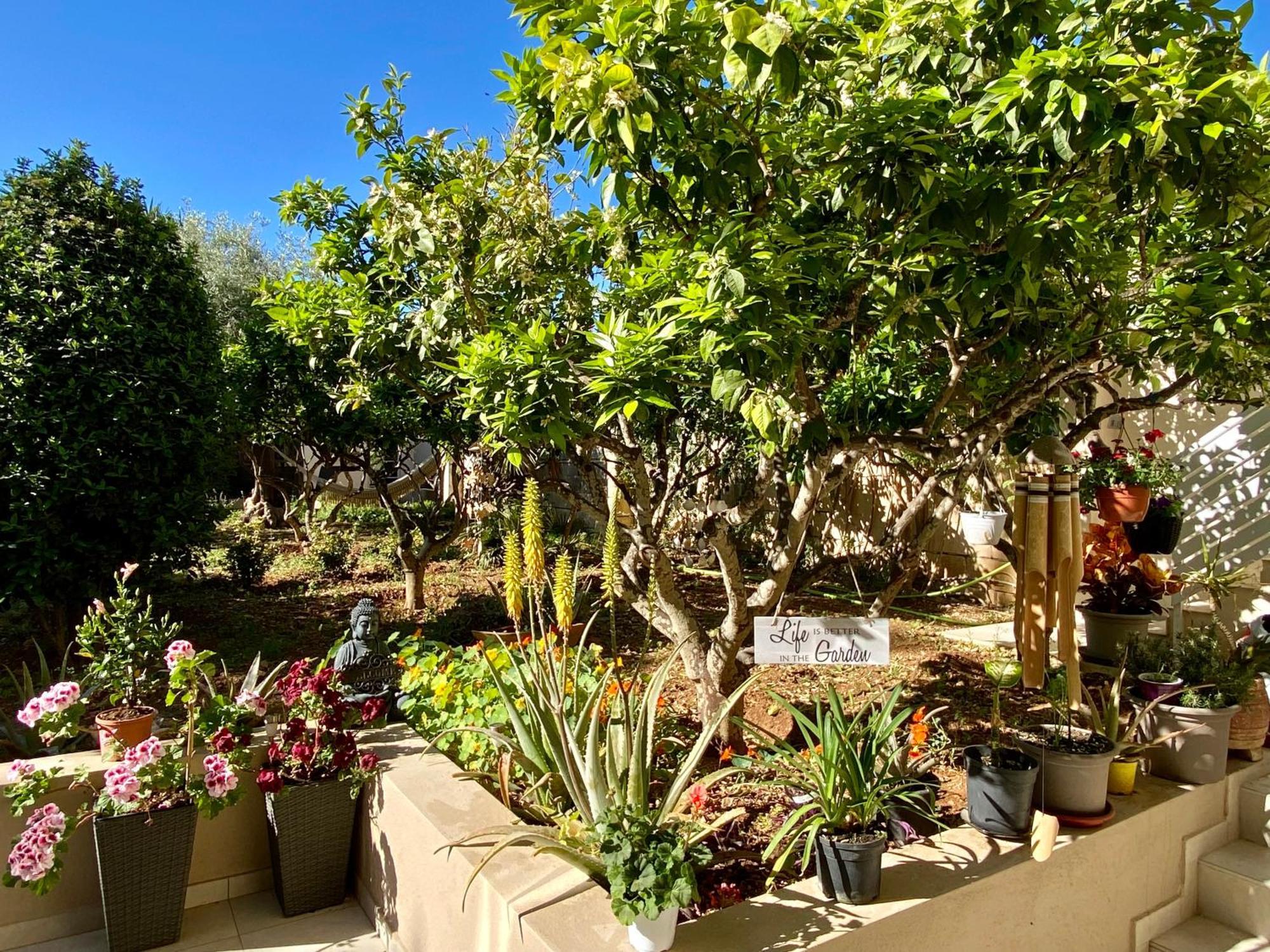 Maltese Garden Villa Mosta Luaran gambar