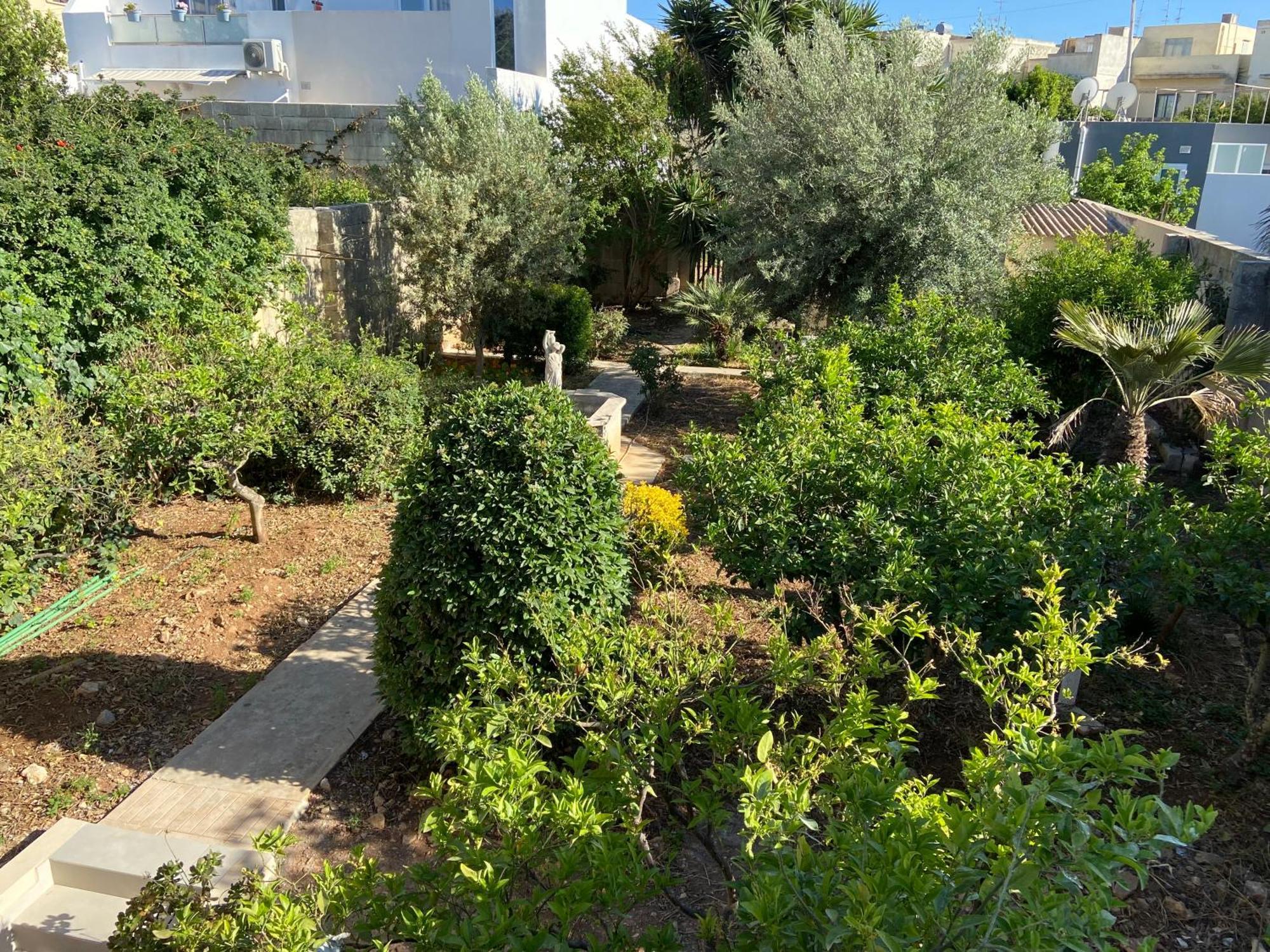 Maltese Garden Villa Mosta Luaran gambar